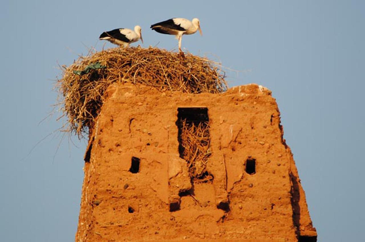 Appartement Anatim Ouarzazate Exterior foto
